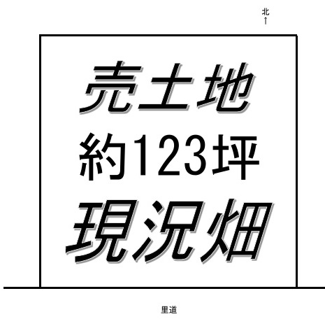 3305-1-123811.jpg