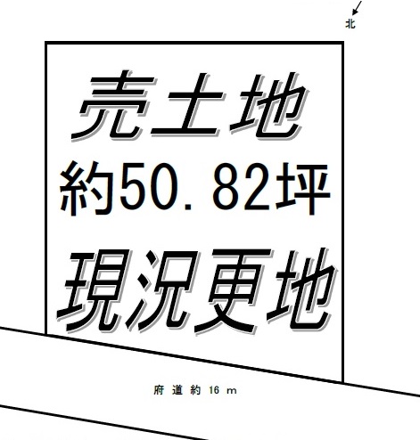 3343-1-132423.jpg