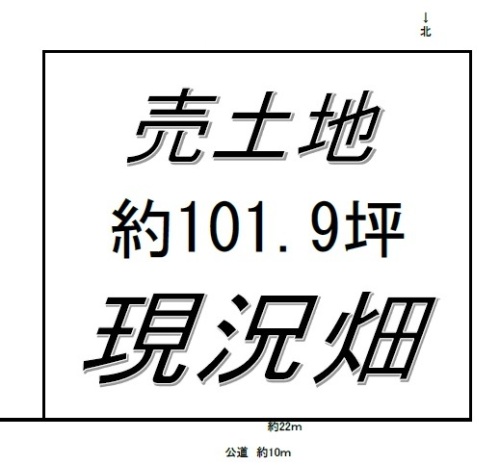 3375-1-112815.jpg