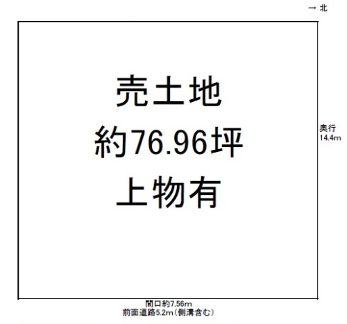 3384-1-104245.jpg