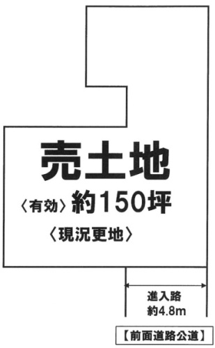3390-1-130529.jpg