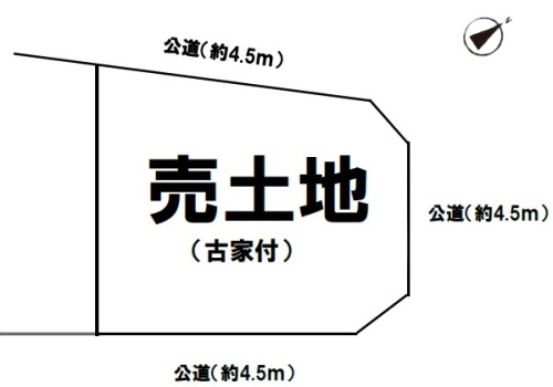 3407-1-113351.jpg